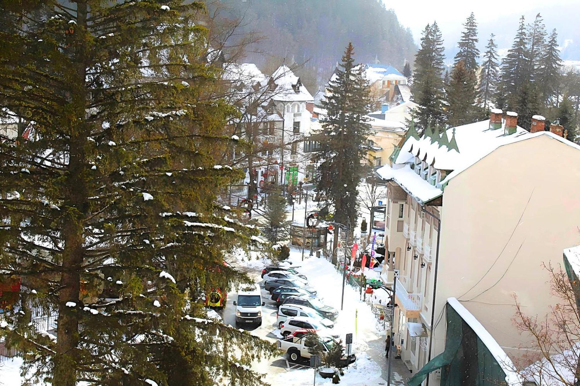 Central Park View Sinaia Exterior foto