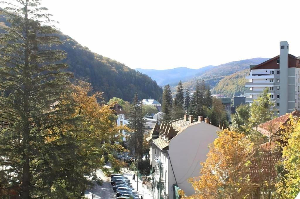 Central Park View Sinaia Exterior foto